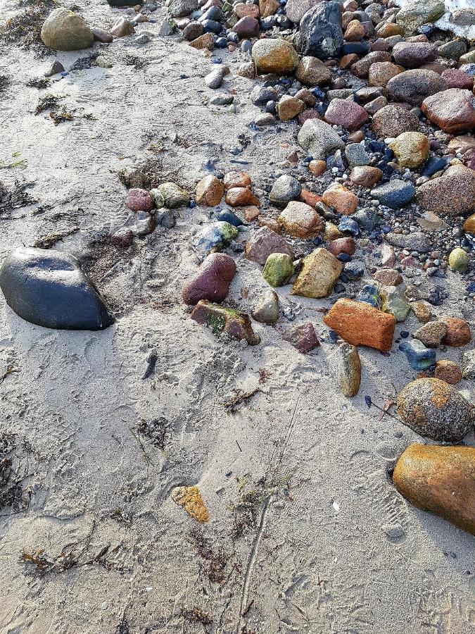 Strandappartement Steinberghaff "Farborg" Mit Meerblick Steinberg  Dış mekan fotoğraf