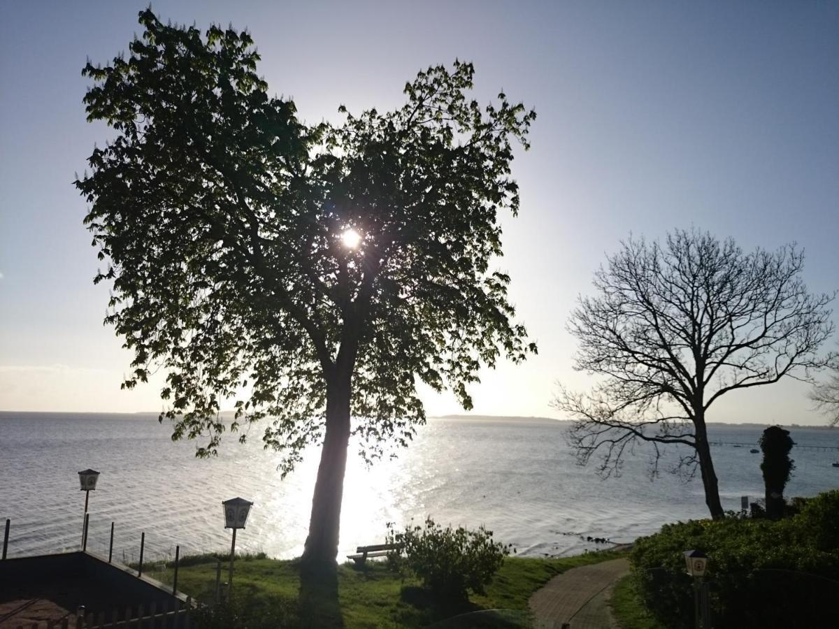 Strandappartement Steinberghaff "Farborg" Mit Meerblick Steinberg  Dış mekan fotoğraf